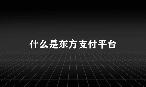 什么是东方支付平台