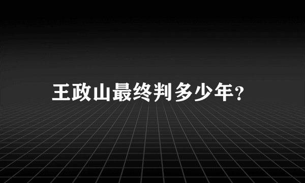 王政山最终判多少年？