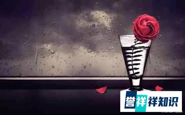 那想说却说不出口的520，到最后成了一句军无戏言……