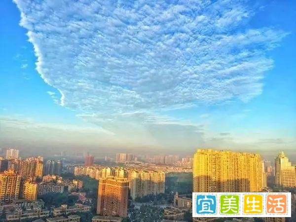 一图看懂黄标车危害！成都研究制定黄标车提前淘汰补贴办法。