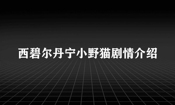西碧尔丹宁小野猫剧情介绍