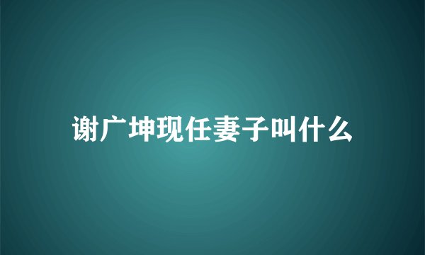 谢广坤现任妻子叫什么