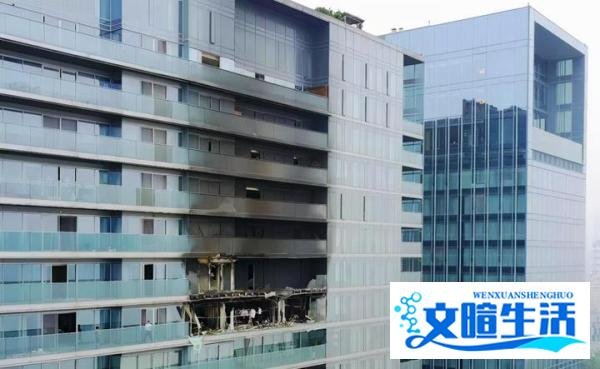 杭州保姆案6年后，林生斌被曝移居澳洲，潼臻一生公司已被注销