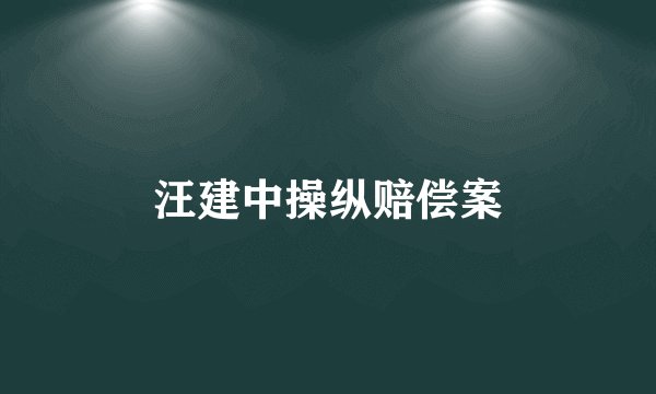 汪建中操纵赔偿案