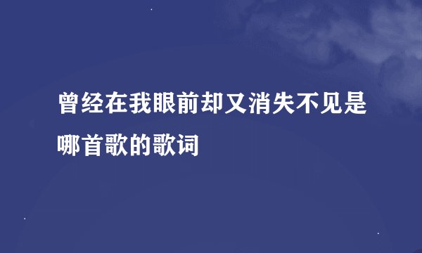 曾经在我眼前却又消失不见是哪首歌的歌词