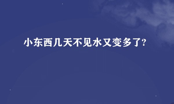 小东西几天不见水又变多了?