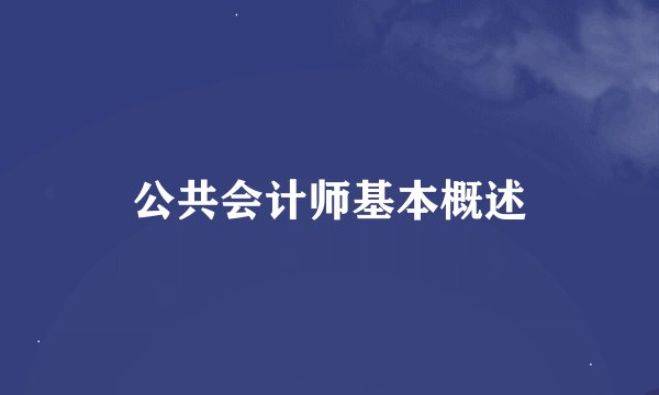 公共会计师基本概述