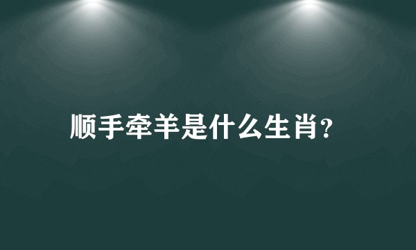 顺手牵羊是什么生肖？