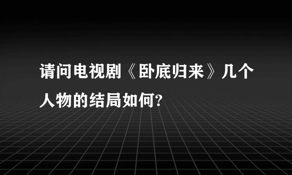 请问电视剧《卧底归来》几个人物的结局如何?