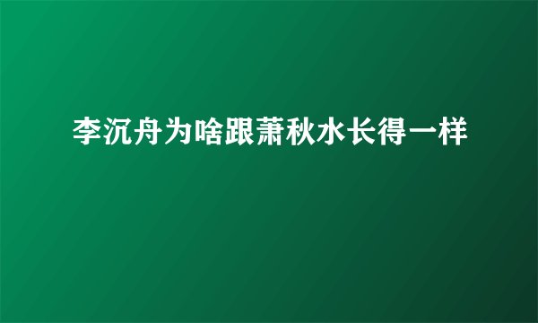 李沉舟为啥跟萧秋水长得一样
