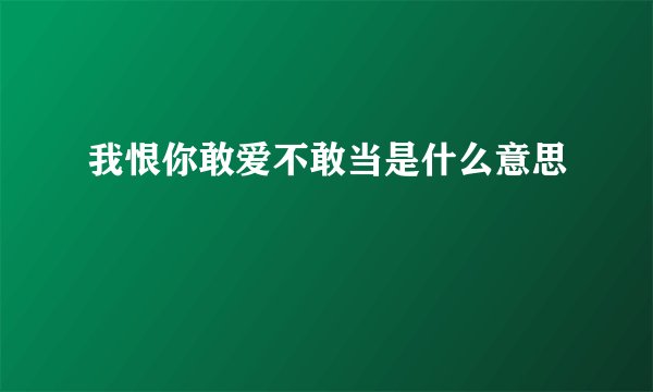 我恨你敢爱不敢当是什么意思