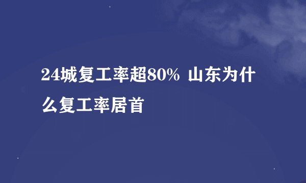 24城复工率超80% 山东为什么复工率居首