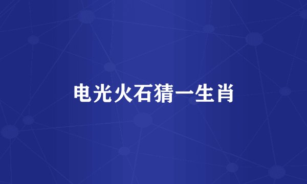 电光火石猜一生肖
