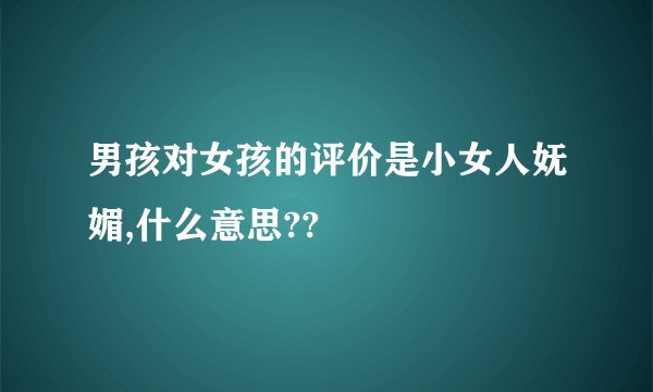 男孩对女孩的评价是小女人妩媚,什么意思??