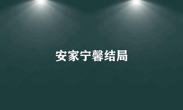 安家宁馨结局