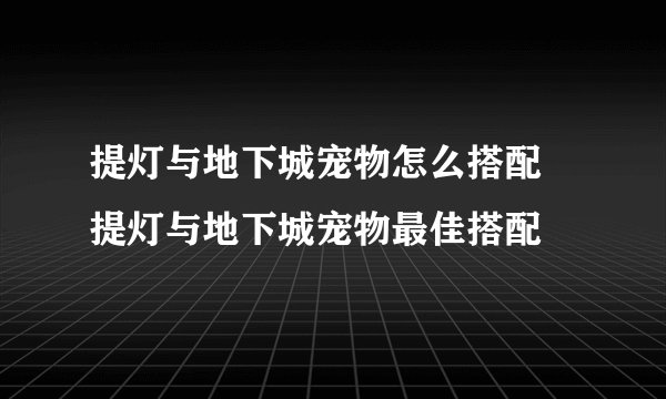 提灯与地下城宠物怎么搭配 提灯与地下城宠物最佳搭配