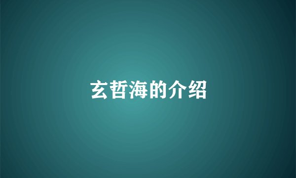 玄哲海的介绍
