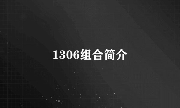 1306组合简介