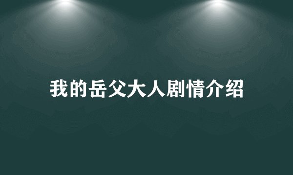 我的岳父大人剧情介绍