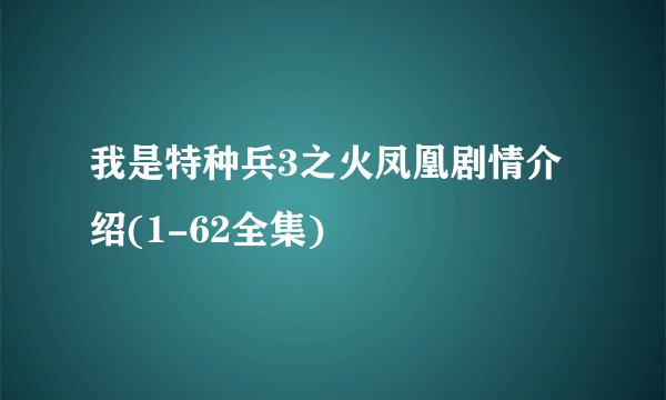 我是特种兵3之火凤凰剧情介绍(1-62全集)