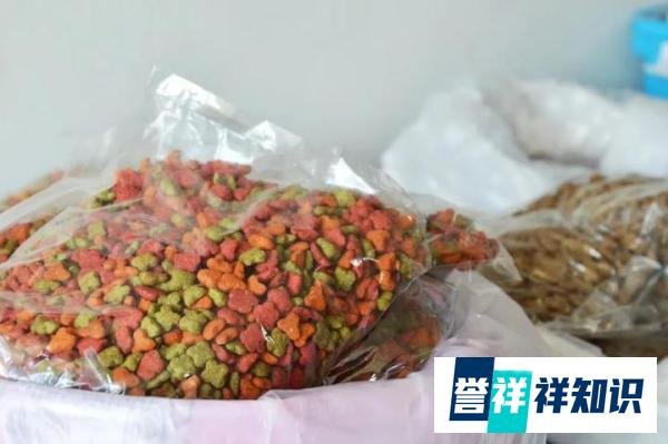 上海疫情之后,这份疫情囤货攻略快收好!隔离居家必备!