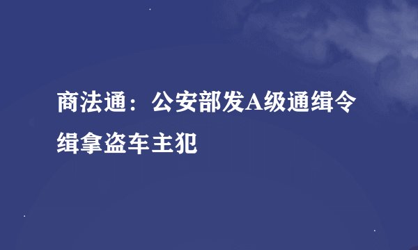 商法通：公安部发A级通缉令缉拿盗车主犯
