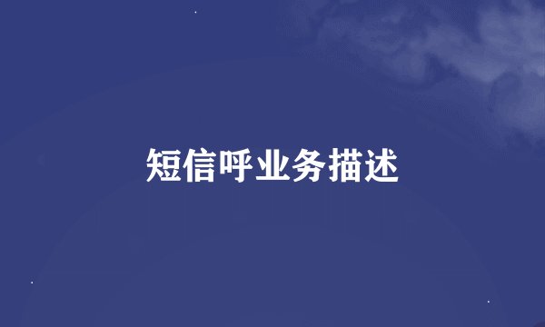 短信呼业务描述