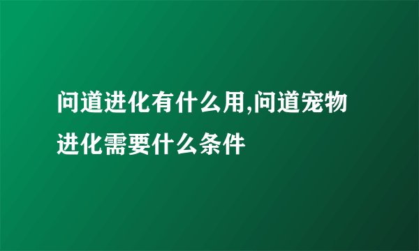 问道进化有什么用,问道宠物进化需要什么条件