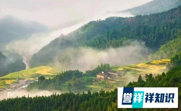 发财猛的祖坟风水都有什么特征？