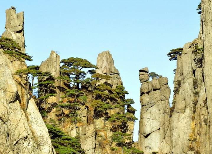 这个黄山奇石名叫什么？