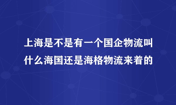 上海是不是有一个国企物流叫什么海国还是海格物流来着的