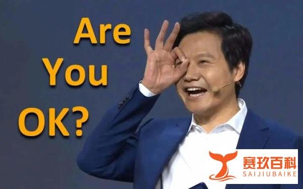 雷军做程序员时写的博客，很实很强大！