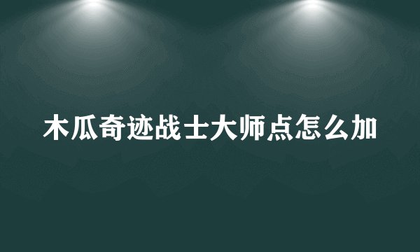 木瓜奇迹战士大师点怎么加