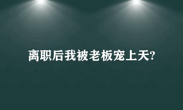 离职后我被老板宠上天?