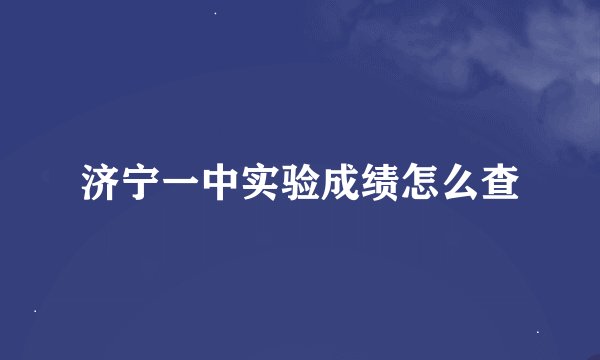 济宁一中实验成绩怎么查