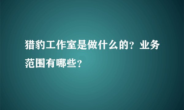 猎豹工作室是做什么的？业务范围有哪些？