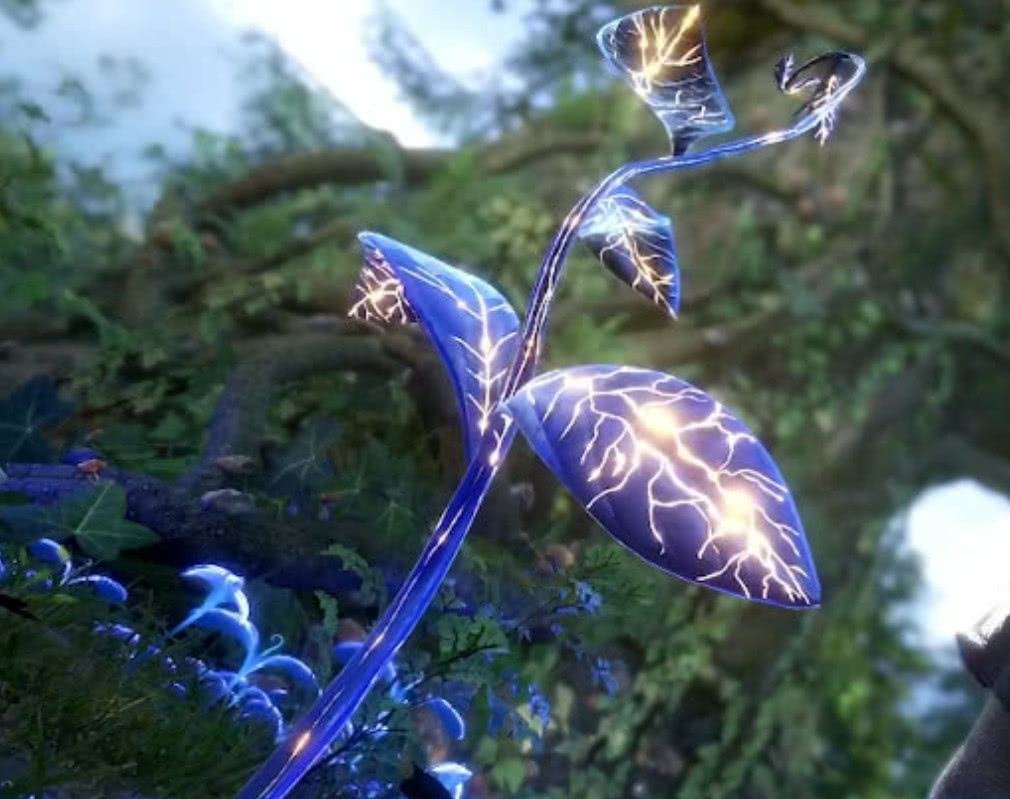 《斗罗大陆》中，唐三有七个魂骨，分别是哪七个？都是怎么获得的？