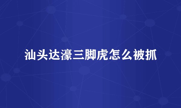 汕头达濠三脚虎怎么被抓