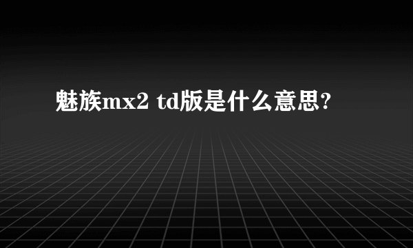魅族mx2 td版是什么意思?