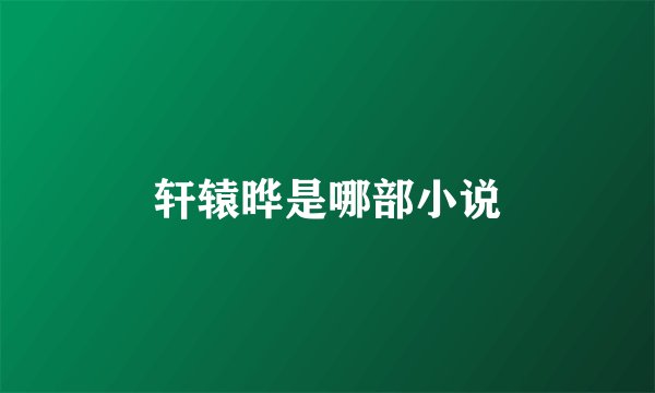 轩辕晔是哪部小说