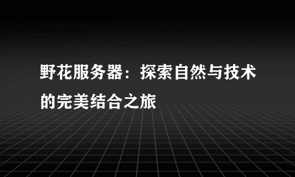 野花服务器：探索自然与技术的完美结合之旅