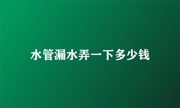 水管漏水弄一下多少钱