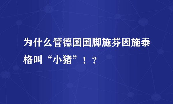 为什么管德国国脚施芬因施泰格叫“小猪”！？