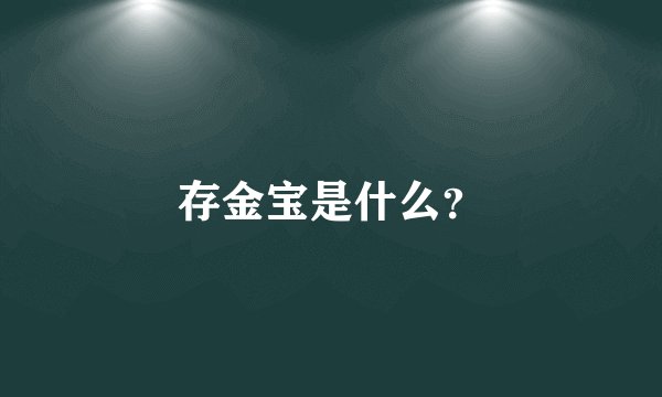 存金宝是什么？