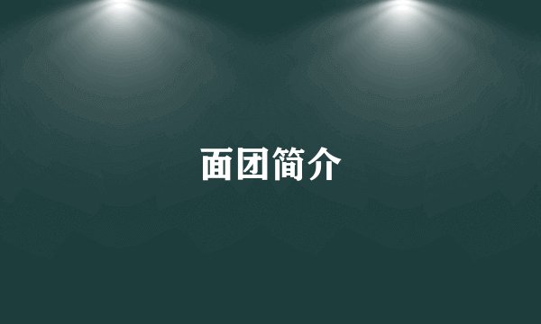 面团简介