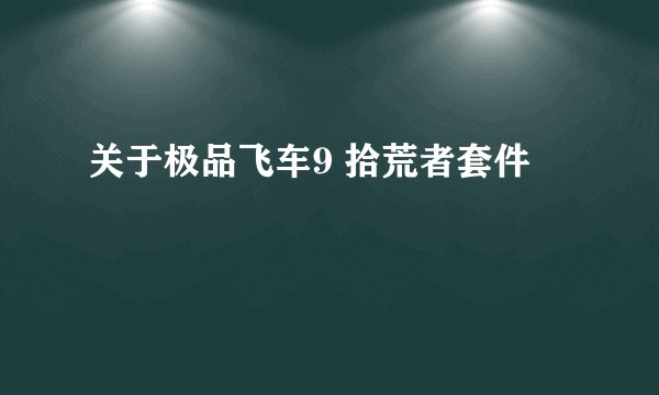 关于极品飞车9 拾荒者套件