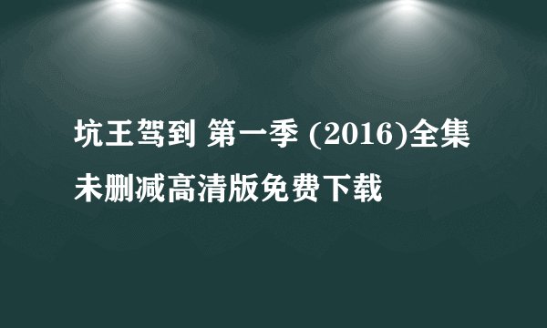 坑王驾到 第一季 (2016)全集未删减高清版免费下载