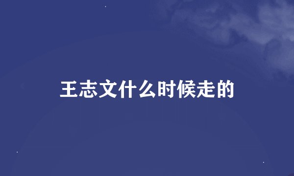 王志文什么时候走的