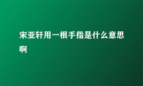 宋亚轩用一根手指是什么意思啊
