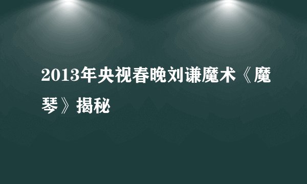 2013年央视春晚刘谦魔术《魔琴》揭秘